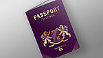 Image d'une couverture de passeport avec pellicule dorée comprenant du nanotexte