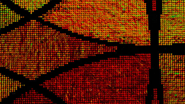 Imagen microscópica de un holograma de matriz de puntos con estructuras de píxeles que sólo permiten una resolución limitada.