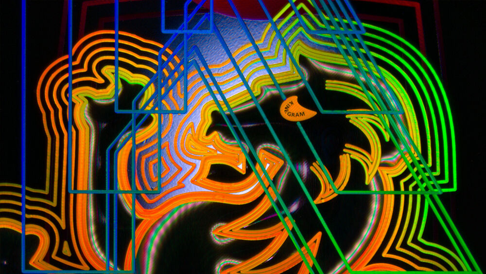 Footprint of a KINEGRAM and its highly brilliant vector-based structures with unlimited resolution. Microscopic image of a KINEGRAM feature showing its vector-based nanostructures