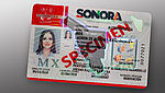 Image of Mexican Sonora state driver's license protected with a KINEGRAM overlay (KINEGRAM GUARD)