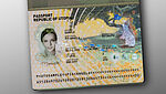 KINEGRAM PCI full data protection (FDP) with the story "WHO STOLE THE HONEY?"